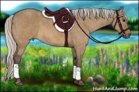 Horse Color:Silver Bay Dun  Brindle