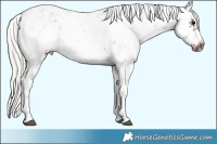 Horse Color:Silver Black Sabino Frame 