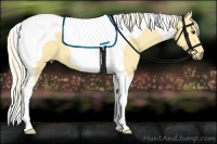 Horse Color:Palomino Tobiano 