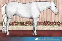 Horse Color:Chocolate Palomino Ice Sabino Splash