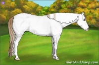 Horse Color:White Spotted Red Roan 