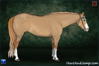 Horse Color:Red Dun Sabino Splash Frame 