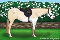 Horse Color:Red Dun Pearl Sabino Splash Frame Rabicano 
