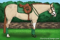 Horse Color:Red Dun Roan Splash Frame 