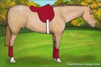 Horse Color:Bay Pearl 