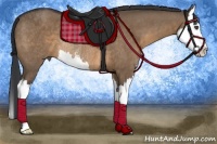 Horse Color:Brown Dun Sabino Splash Rabicano 