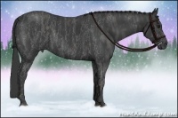 Horse Color:Black Sabino Tobiano Frame Brindle