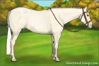 Horse Color:Silver Buckskin Pearl Dun Rabicano Brindle