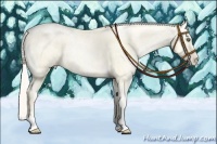 Horse Color:Silver Amber Cream Champagne Ice Pearl Dun  Brindle