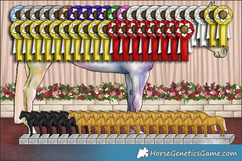 Horse Color:Classic Champagne Splash Tobiano Appaloosa