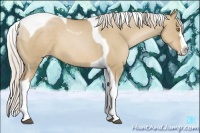 Horse Color:Silver Grullo Pearl Splash Tobiano 