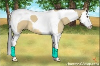 Horse Color:Buckskin Dun Splash Tobiano 