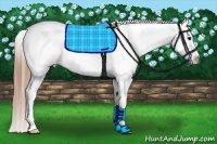 Horse Color:Smoky Black Tobiano Frame Appaloosa Rabicano 