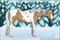 Horse Color:Silver Buckskin Splash Tobiano 