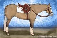 Horse Color:Silver Bay Dun Splash Frame 