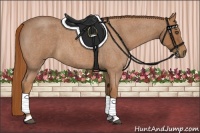 Horse Color:Red Roan 