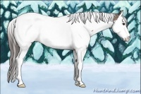 Horse Color:Bay Sabino Splash Tobiano Appaloosa 