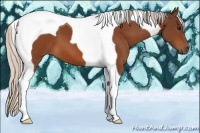Horse Color:Silver Bay Tobiano 