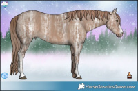 Horse Color:Liver Red Dun Ice Sabino 
