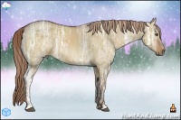 Horse Color:Liver Red Dun Ice Sabino 