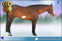 Horse Color:Brown Frame 