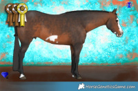 Horse Color:Brown Frame 