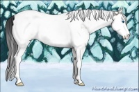 Horse Color:White Spotted Grullo Splash Tobiano
