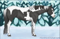 Horse Color:Smoky Black Sabino Splash Tobiano