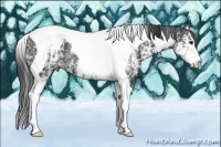 Horse Color:White Spotted Smoky Black Tobiano Rabicano