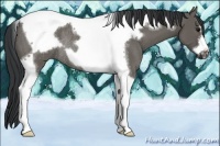 Horse Color:Grullo Tobiano Frame Rabicano 