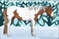 Horse Color:Chestnut Tobiano Frame