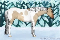 Horse Color:Bay Roan Dun Tobiano
