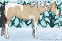 Horse Color:White Spotted Classic Champagne Dun Splash Tobiano 