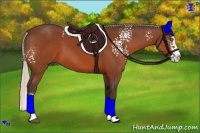 Horse Color:White Spotted Silver Bay Splash 