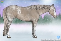 Horse Color:White Spotted Silver Grullo Ice Sabino Splash
