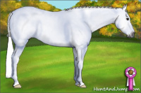 Horse Color:Gray Buckskin Splash 