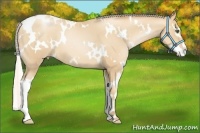 Horse Color:White Spotted Silver Classic Champagne Pearl Splash Frame