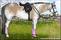 Horse Color:White Spotted Buckskin Dun 