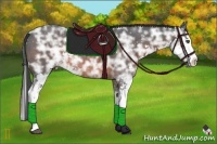 Horse Color:Brown Ice Sabino Splash Rabicano 