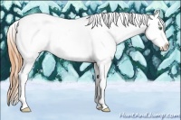 Horse Color:White Spotted Amber Cream Champagne Tobiano Appaloosa 