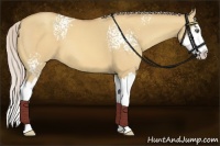 Horse Color:White Spotted Silver Amber Champagne Dun Sabino Splash 