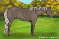 Horse Color:Silver Black Frame 