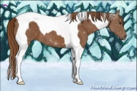 Horse Color:Chestnut Tobiano 