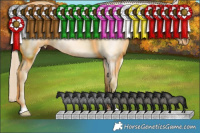 Horse Color:Smoky Creme Roan Dun 