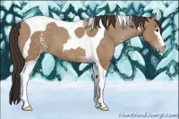 Horse Color:White Spotted Classic Champagne Tobiano 
