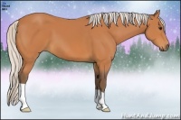 Horse Color:Silver Bay 