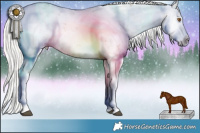 Horse Color:Silver Black Pearl Sabino Splash Rabicano