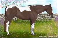 Horse Color:Liver Chestnut Sabino Tobiano 