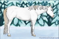 Horse Color:White Spotted Perlino Splash Tobiano
