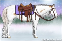 Horse Color:Silver Classic Champagne Splash Tobiano 